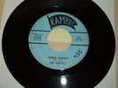 OKLAHOMA GARAGE 45 RPM RECORD - THE SKEPTICS - KAMPUS 814