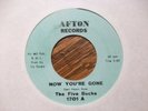 THE FIVE BUCKS Now You're Gone/No Use In Tryin AFTON 1701 GARAGE/PSYCH 45 *