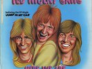 TED MULRY GANG-Here We Are-VINYL (Blue Roo label)