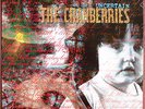 THE CRANBERRIES - RARE 12