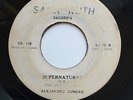 LISTEN _ THE DUNCAN BROS - SUPERNATURAL Soul PANAMA SALLY RUTH HERMANOS DUNCAN