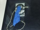 JACK WHITE Freedom at 21 clear flexi disc w/ postcard THIRD MAN TMR 144