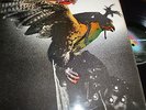 BUDGIE In for the kill  Vinyl LP First Press MCA MCF2546
