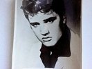 VINTAGE 1955 ELVIS PRESLEY EXCLUSIVE RCA VICTOR RECORDING ARTISTS PHOTO 