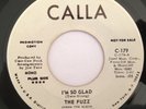 THE FUZZ - I'M SO GLAD - DEMO - LISTEN