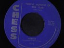 HARVEY & GROUP: Twelve Months Of The Year / Don't Be Afraid To Love 45