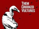 THEM CROOKED VULTURES Self Titled 2 x Vinyl LP 2013 (13 Tracks) NEW & SEALED