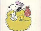 Richard M. Sherman / Robert B. Sherman And Don Ralke - 