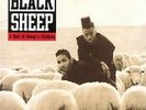 Black Sheep A Wolf in Sheep's Clothing - vinyl