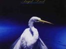 Faith No More-Angel Dust  (UK IMPORT)  Vinyl / 12