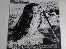 Chauves Pourris LP Rock-O-Rama RRR128 Oi