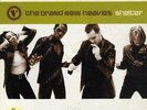 Brand New Heavies, The - Shelter '97 2xLP UK ORG  Siedah Garrett Bob Power