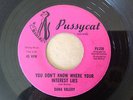 ?  Dana Valery--You Don`t Know Where Your Interest Lies     Northern Classic  ?