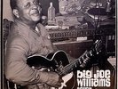 BIG JOE WILLIAMS / TOUGH TIMES / BLUES / ARHOOLIE / TRIO JAPAN