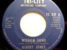 Soul 45 - Albert Jones - Wisdom Song - Mint-
