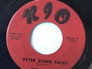 RARE SURF OHIO TITTYSHAKER 45/ THE JESTERS 