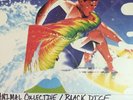 Animal Collective / Black Dice LTD ED12
