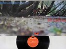 FAT MATTRESS SAME POLYDOR MP 1460 Japan Vinyl LP