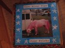 EAST RIVER PIPE - poor fricky LP Sarah Records