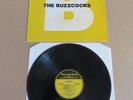 BUZZCOCKS Peel Sessions STRANGE FRUIT LP RARE 1989 ORIGINAL UK PRESSING SFRLP104