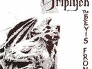 Triptych (Limited Edition) The Bevis Frond  - 2LPs- Neu