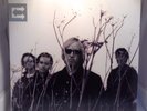 TOM PETTY AND THE HEARTBREAKERS Echo 2 LP VG+/EX RARE US ORIG 1999