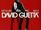 David Guetta-Nothing But the Beat  Vinyl / 12
