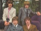 THE TROGGS *TROGG TOPS 1* WILD THING + 3* 1966 PAGE ONE EP
