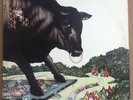 Bull Angus - S/T album 1971 (Hard Rock/Blues Rock) 33 1/3 vinyl record