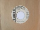 Danny Woods - 90 Days In The County Jail - 1967 - 45RPM - Promotional Copy