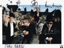 AUTHENTIC BAND SIGNED MADNESS OFFICIAL 10X8 ORIGINAL SUGGS PROMO REAL SIGNATURES