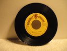 THE FRANTICS – Frantic / Hang On Sloopy – COCONUT GROOVE 2024 Obscure garage
