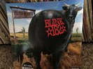 Blink 182 - Dude Ranch Vinyl Splatter Hot Topic LP