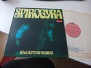 Spirogyra Bells, Boots and Shambles Polydor 2310 246 original LP 1973