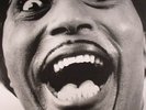 LITTLE RICHARD - Mono Box: The Complete Specialty & Vee Jay Albums - LP box