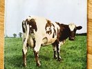 The Pink Floyd - Atom Heart Mother Record Rare 1979 SHVL 781 A-1G