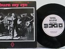 Radio Birdman, Burn my eye , ep,   Punk