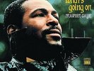 Marvin Gaye-What's Going On-Vinyl Lp