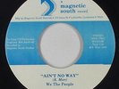 Modern Soul 45 - We The People - Ain't No Way - Magnetic South - VG++ mp3