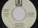 Northern Soul 45 - Bobby Rush - Camel Walk/Gotta Have Money - ABC - mp3