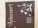 WILD OATS 1975 LP - AGINCOURT - VERY RARE PSYCH-FOLK PRIVATE PRESS,  VIVA SMITH