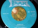 PRIVATE 1964 WI Garage Punk 45 - THE SHANDELLS 