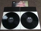 PJ HARVEY - Dry(UK 1992 1ST PRESS DOUBLE VINYL ALBUM / DEMO LP / MINT )
