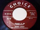 Sandy Scott 