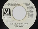 Funk Boogie/Modern Soul 45 - Solar Source - Can You Dig The Funk - AVI - mp3