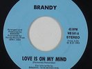 Sweet/Modern Soul 45 - Brandy - Love Is On My Mind - Private - VG+ mp3