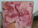 Still Life - same - s/t - German Vertigo Swirl - 6360 026 - LP