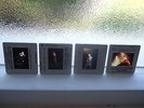 The Smiths Morrissey memorabilia  promo photo slides 50mm in concert 1990's