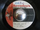 THE PIONEERS rare Easy Come Easy Go rocksteady reggae 45 LISTEN