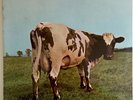 PINK FLOYD   Atom Heart Mother   1970 1st Pressing Harvest SKAO-382 SEALED